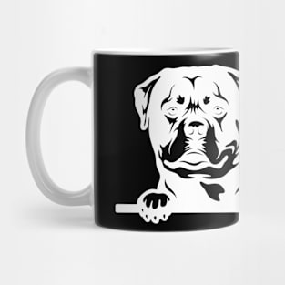 Rottweiler Sees His Owner Mug